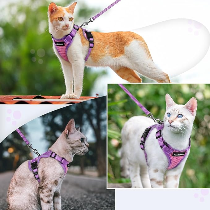 rabbitgoo Cat Harness and Leash Set, Escape Proof Soft Adjustable Vest Harnesses for Outdoor Walking, Easy Control Breathable Kitten Jacket with Reflective Strips, Pink & Purple, M