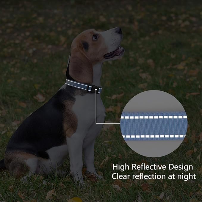 Reflective Dog Collar Padded with Soft Neoprene Breathable Quick Release Basic Dog Collars for Medium Large Dogs Blue Boy Girl