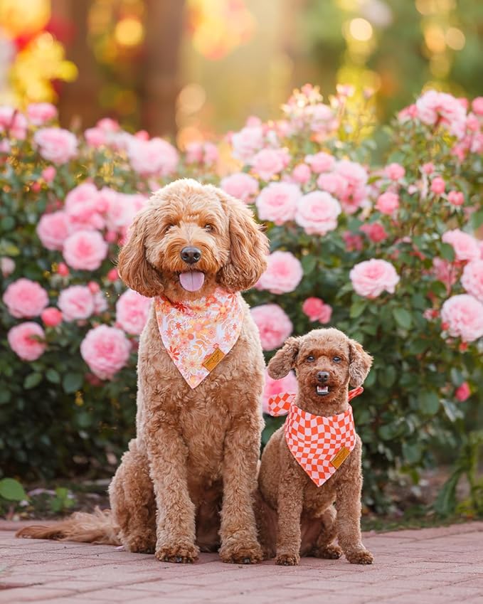 Remy+Roo Extra Large Spring Dog Bandanas - 4 Pack Daisy Set | Premium Durable Adjustable Polyester Fabric | Patented Shape Girl Dog Bandana, Floral Dog Bandana