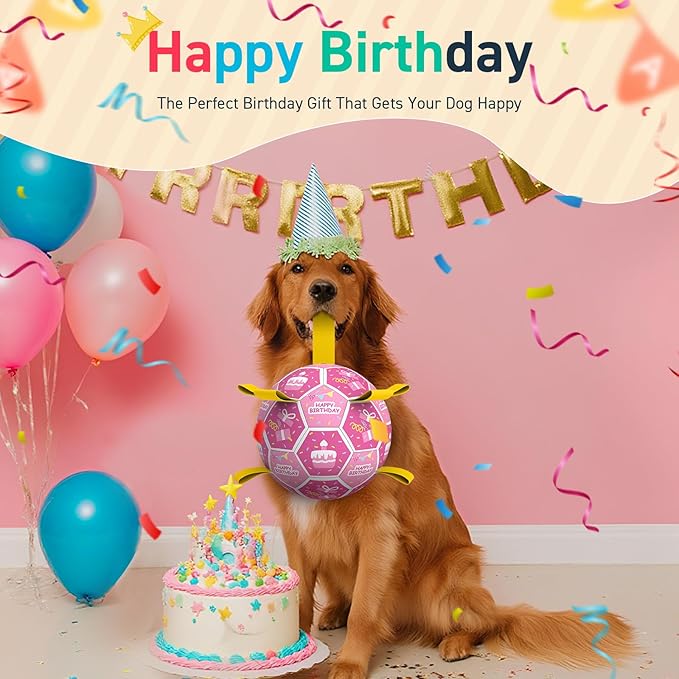 QDAN Dog Birthday Toys, Squeaky Dogs Toys, Dog Soccer Ball with Straps, Puppy Gifts, Herding Balls with Bell Inside, Water Toy, Durable Ropes Ball for Medium Large Dogs (8 inch)