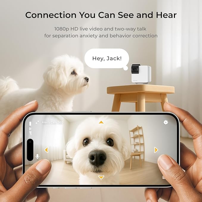 Petcube Cam 360 Camera Interactive WiFi Pet and Home Security Pan-Tilt Camera with Phone App, 1080p HD Video, 360° Rotation, Night Vision, AI Alerts