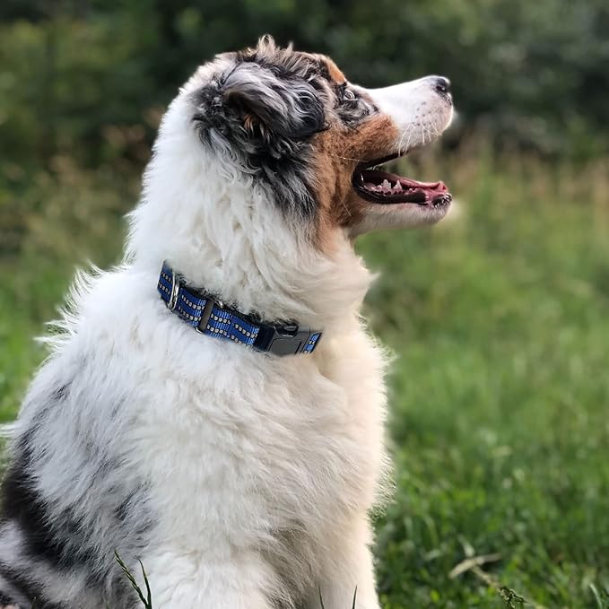 Hikiko Martingale Collar for Dogs Reflective Nylon Dog Collar with Quick Release Buckle Adjustable Training No Slip Dog Collar (X-Small, Blue)