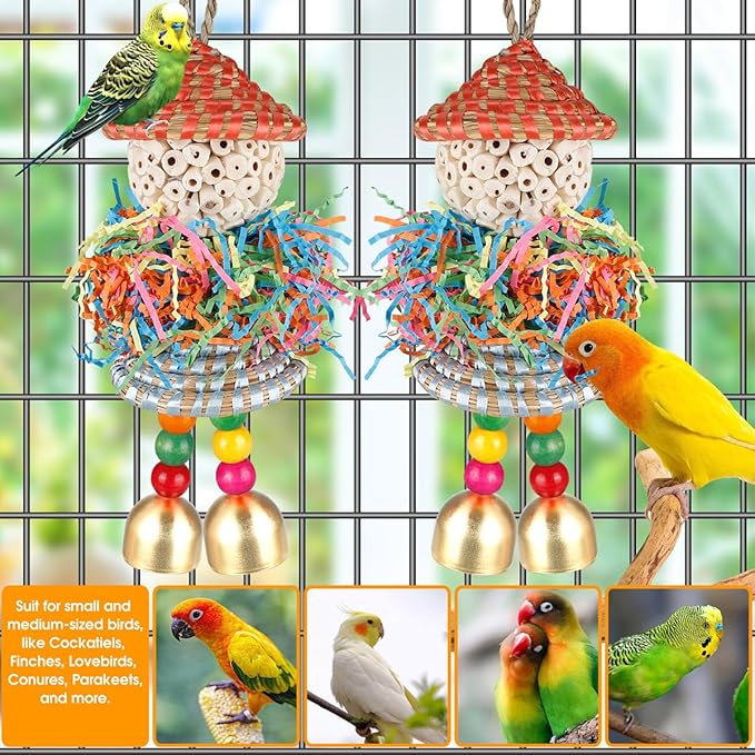 BBjinronjy 2PCS Bird Toys Parrot Foraging Shredder Hanging Toys Sola Balls with Bell for Small Parrots Parakeets Cockatiel Conures Love Birds Budgie Cage Toy
