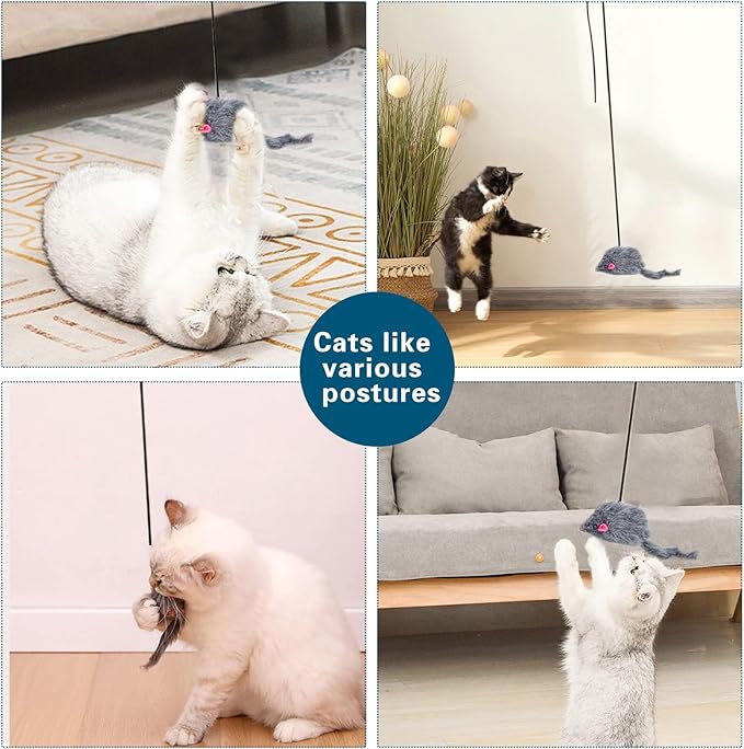 Kalimdor Interactive Cat Feather Toys,Retractable Teaser Toy ，Hanging Interactive Toys for Indoor Cats Kitten Play Chase Exercise, Kitten Mental Exercise Toys (1 Pack)