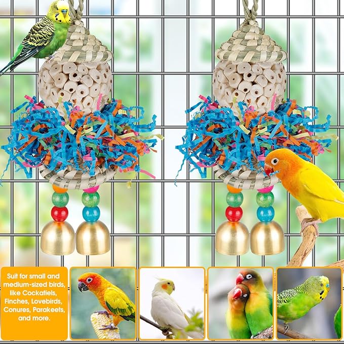 Conure Toys,2PCS Bird Toy Parrot Foraging Shredder Hanging Toys Sola Balls with Bell for Small Parrots Parakeets Cockatiel Conures Love Birds Budgie Cage Toy