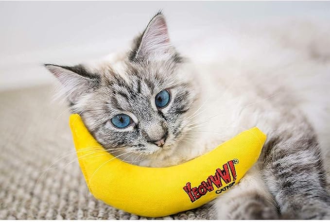 YEOWWW! DuckyWorld 100% ORGANIC CATNIP Leaf & Flower Cat Toy BANANA 3 PACK