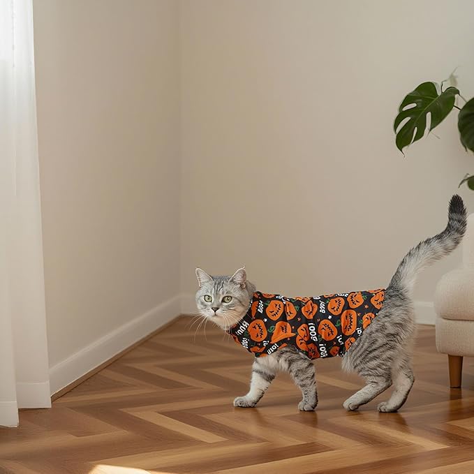 EXPAWLORER Cat Halloween Sweater - Sweaters for Cats Only Soft Warm Pet Clothes, Fall and Winter Pumpkin Coat Pullover Design, Fleece Sweatshirt Clothing Also for Puppy Small Dogs, Medium
