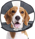 ZenPet Pet Recovery Cone E-Collar for Dogs and Cats - Always Use with Your Pet's Everyday Collar - Comfortable Soft Collar is Adjustable for a Secure and Custom Fit (Medium)