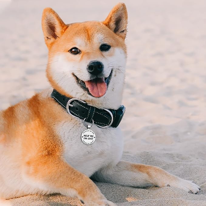 MYLUCKYTAG QR Code Pet ID | Personalized Dog & Cat Collar Tag | Online Profile with Instant Scanned Location Alert Email