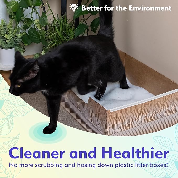 Leakproof Disposable 2-Pack Cat Litter Box Only - Made in The USA | Unmatched Odor Control | Recyclable — Kitty Poo Club