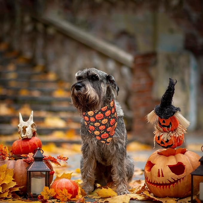PTDECOR Halloween Dog Bandana, Skeleton Pumpkin Reversible Holiday Dog Scarf, Triangle Halloween Bandanas for Small Dogs Puppies Cats(Small)