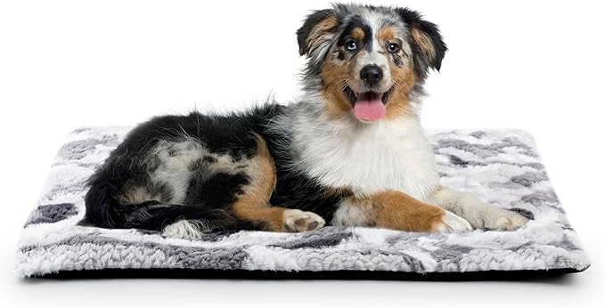 Self Warming Cat Bed, 30" x 20" Ultra Soft Cat Dog Pet Heating Pad for Indoor Outdoor, Non-Slip Heated Dog Mat Thermal Blanket