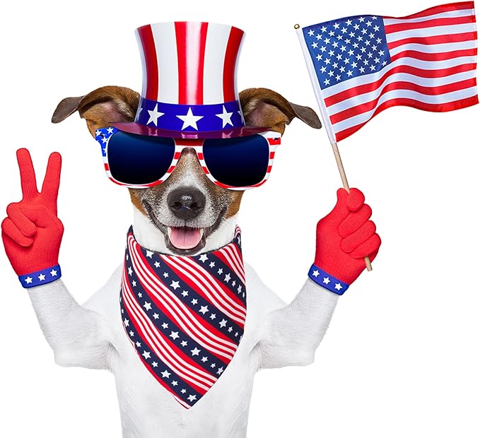 PTDECOR American US Flag Dog Bandana 4th of July Dog Bandanas Reversible Triangle Bibs Scarf for Medium and Large Dogs (Style 1, Large)