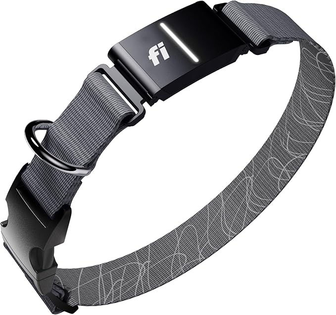 New Fi Series 3+ Smart Dog Tracker Collar [6 Month Membership Included] GPS Tracker for Dogs with Health & Behavior Monitoring, Escape Alerts, Waterproof, LED, Apple Watch Compatible (Gray, Medium)