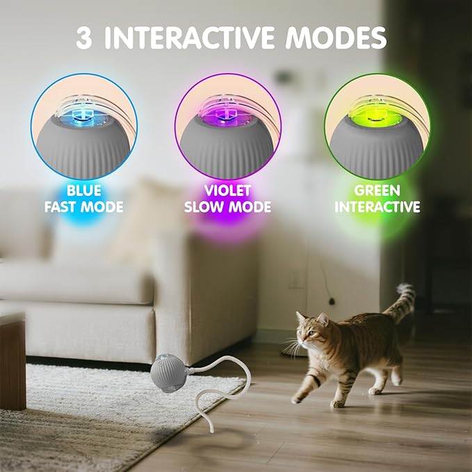 Rocfish Durable Interactive Cat Toys for Indoor Cats, Smart Automatic Cat Chase Ball Toy, Upgraded Speedy Tail Kitten Toy for Bored Indoor Adult Pets (Grey)
