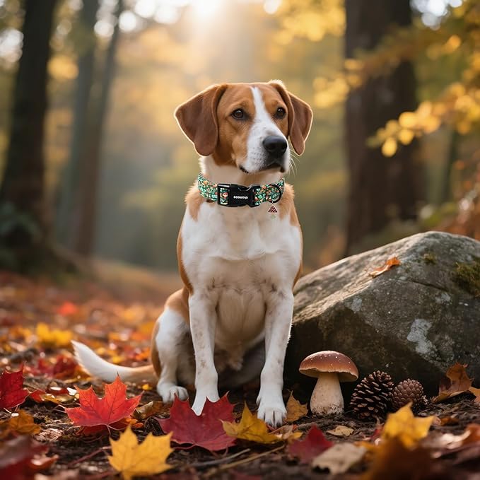 DOGWONG Fall Dog Collar, Autumn Dog Collar Adjustable Soft Natural Fabric Mushroon Pet Dog Collars Cute Puppy Necklace for Small Medium Large Dogs