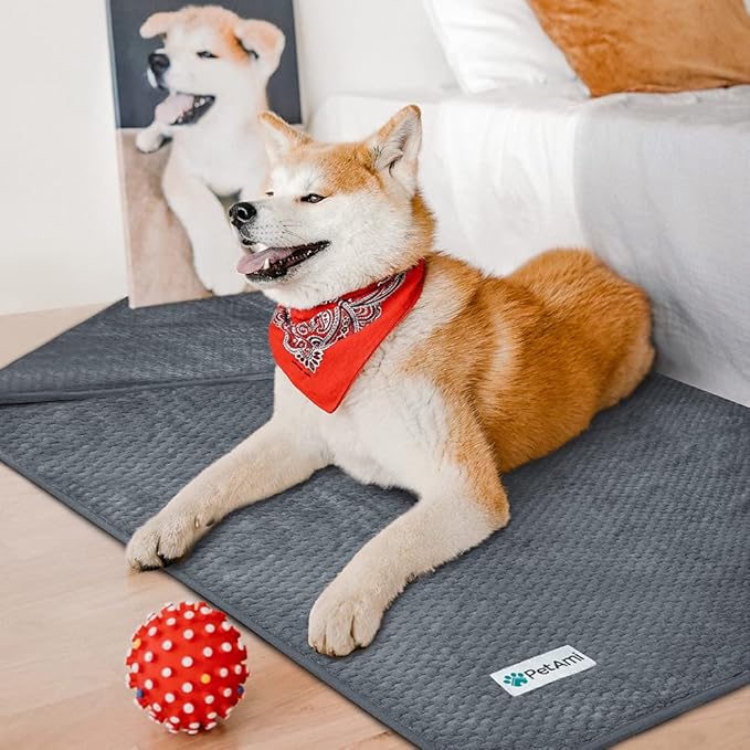 PetAmi Waterproof Dog Blanket, Leakproof Puppy Blanket for Medium Large Dogs, Furniture Sofa Couch Cover Protector, Fleece Pet Throw for Indoor Cat Kitten, Reversible Washable Soft Plush, 40x60 Gray