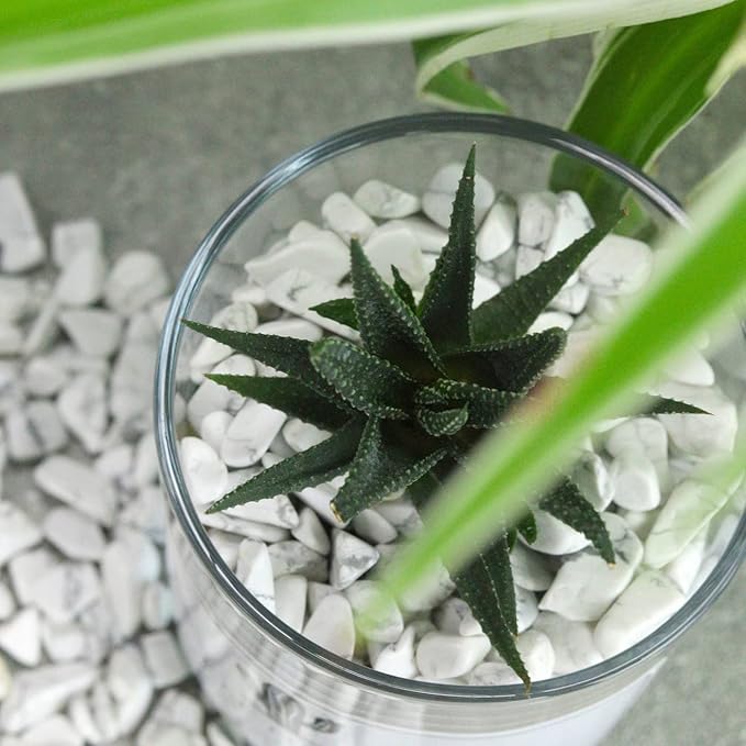 1lb Howlite Aquarium Gravel Rocks Natural Tumbled Healing Crystal Chips Bulk Gemstones Crushed Stones for Fountain Vase Filler Planters Decorative Fish Tank Potted Reiki Energy Balancing