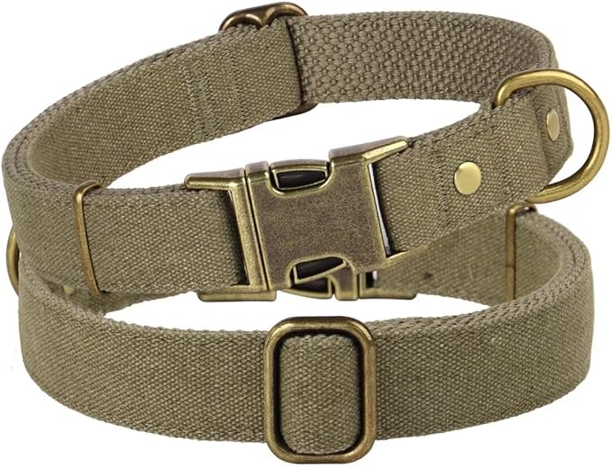 PET ARTIST Dog Collars for Medium Dogs, Soft Padded Premium Nylon Dog Collar with Quick Release Metal Buckle, Durable & Adjustable Pet Collars for Boy Gifts, Green, M (Fit 13-20")