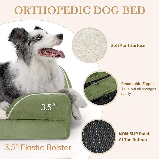 Comfort Expression Orthopedic Dog Bed for Medium Dogs 28x19 Inch, Waterproof Egg Crate Foam Medium Pet Bed with Removable Bolsters, Dog Couch with Washable Cover & Non-Slip Bottom, Light Green