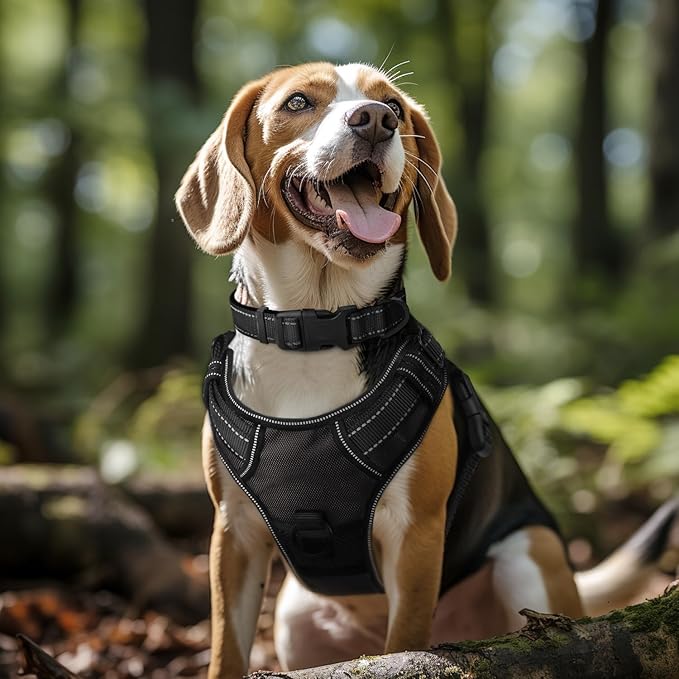 Joytale Reflective Dog Collar,Soft Neoprene Padded Breathable Nylon Pet Collar Adjustable for Extra Large Dogs,Black,XL
