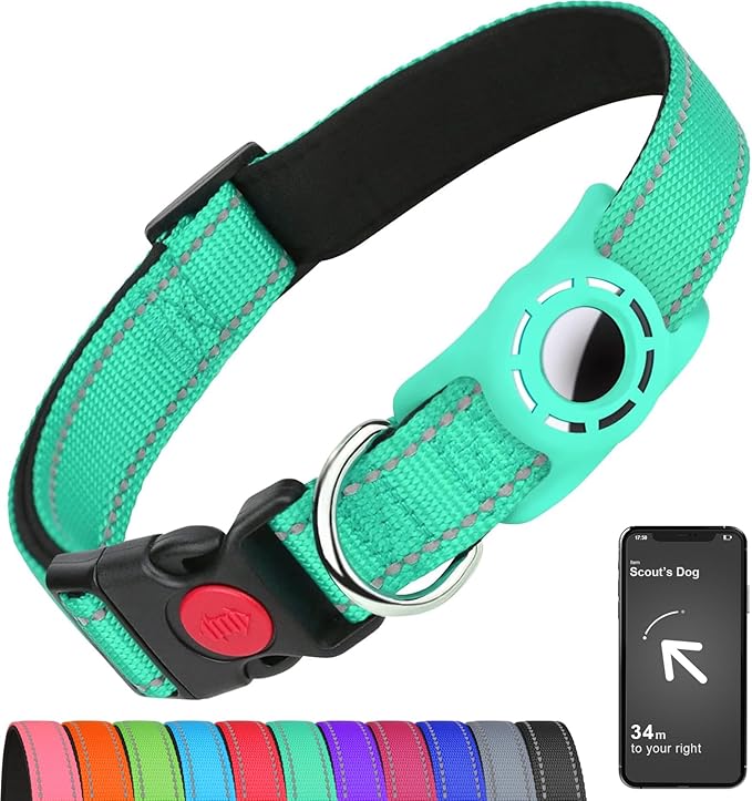 Airtag Dog Collar with AirTag Holder for Small Dogs, Reflective, Soft Padded & Safety Locking Buckle, Nylon Pet Collars Adjustable for All Breeds, Teal,S