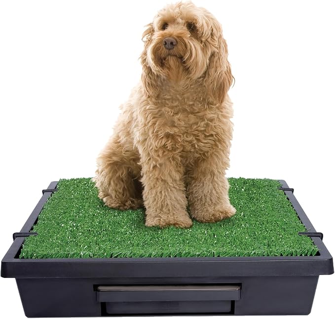 PetSafe Pet Loo Portable Dog Potty - Pet Toilet Alternative for Puppy Pads - Medium - Perfect for House Training - Easy-to-Clean Grass Mat
