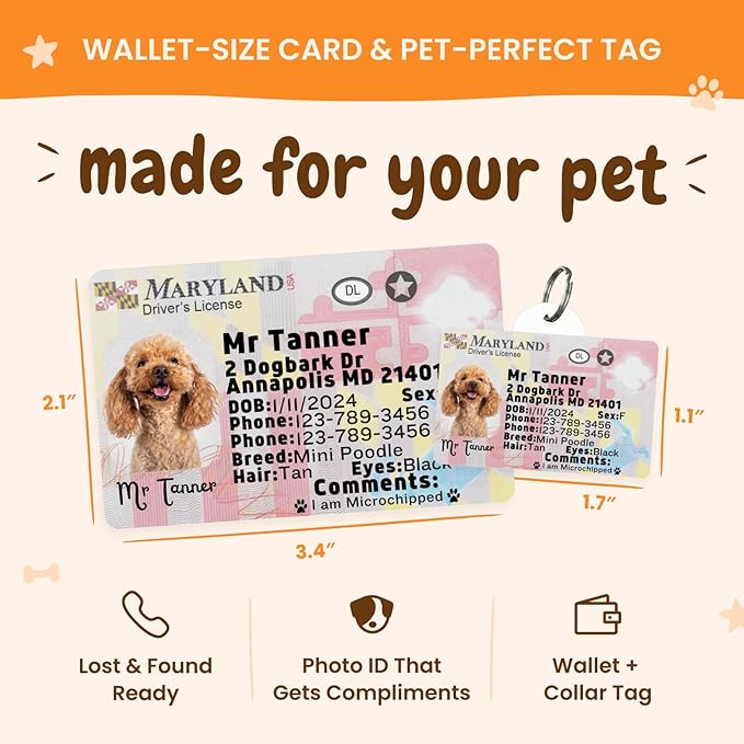PawFurEver Personalized Dog Driver License ID Tag for Dogs & Cats - Custom Pet License Dog ID Tags Personalized Heavy Duty with Name, Photo & Phone Number, 50 States + DC (Massachusetts, Wallet Card)