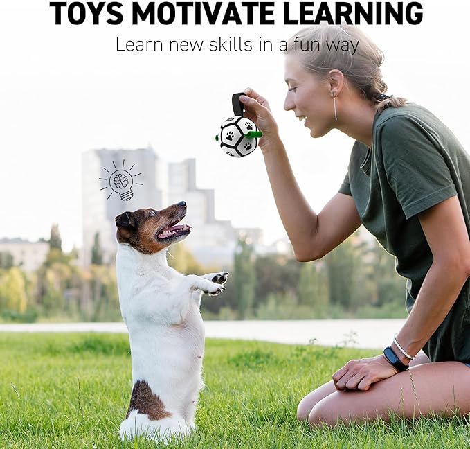 QDAN Small Dog Toys, Puppy Balls, Dog Balls with Straps for Small Breed, Soccer Ball for Dogs, Puppy Toys, Dog Birthday Gift (Black Green, 3.5 inch)