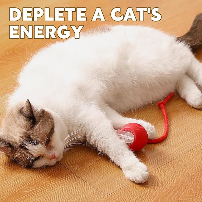 Chewie Viral 360 Smart Automatic Rolling Pet Ball (3 PCS) - Interactive Dog & Cat Toy