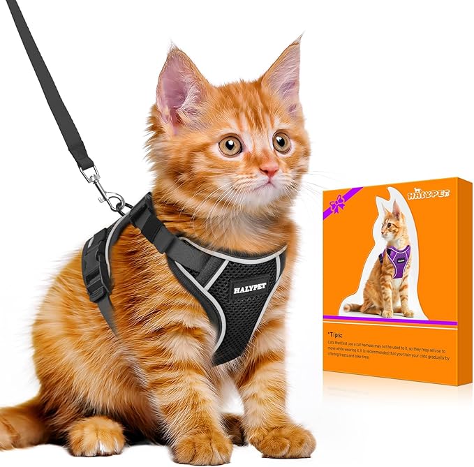 Halypet Cat Harness and Leash Set [MAX Safety 4th-Gen Upgrade] Escape Proof Adjustable Cat Leash Comfortable Soft Vest Easy to Wear Kitten Harness with Reflective Strip for Cats Walking, XS Black