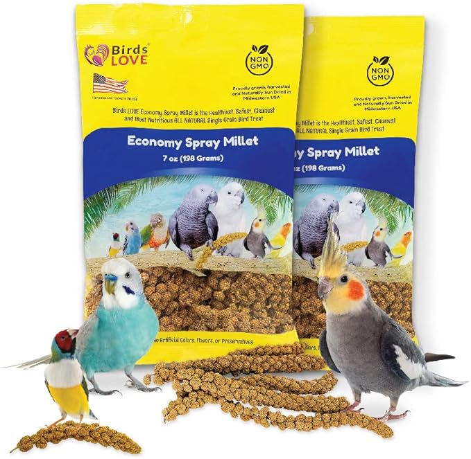 Birds LOVE Economy Special Spray Millet | GMO-Free (No Stems Only Edible Tops) for Birds Cockatiel, Lovebird, Parakeet, Finch, Canary All Parrots Healthy Treat 7 oz -Pack of 2