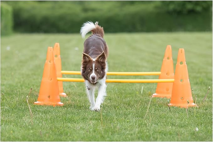 TRIXIE Dog Agility Hurdle Cone Set – Dog Agility Set with Height Adjustable Crossbar for Beginners & Advanced, Dog Agility Equipment for Dog Obstacle Courses – 6 x Cones, 3 x Agility Rods