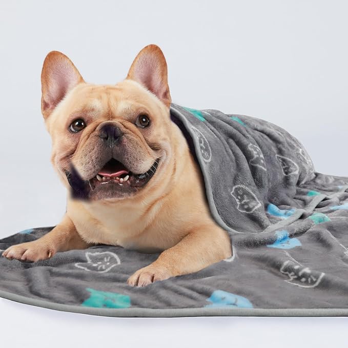 1 Pack 3 Blankets Super Soft Fluffy Premium Cute Cat Pattern Pet Blanket Flannel Throw for Dog Puppy Kitten Blue/Cyan/Grey Small(23x16 inch)