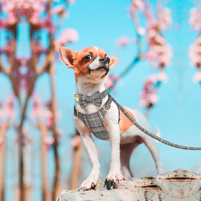 Beirui Cute Extra Small Dog Harness Collar and Leash Set with Bowtie, Soft Adjustable Plaid Puppy Harness for Small Sized Dogs Cats Walks Parties and Photoshoots(Gray,XXS:Chest 12-14")