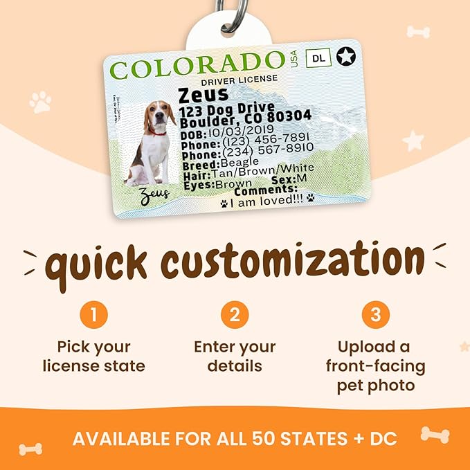 PawFurEver Personalized Dog Driver License ID Tag for Dogs & Cats - Custom Pet License Dog ID Tags Personalized Heavy Duty with Name, Photo & Phone Number, 50 States + DC (Newjersey, Tag)