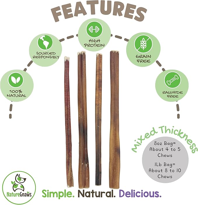 Nature Gnaws Bully Sticks for Dogs 11-12" (1Lb) - Mixed Thickness - Long Lasting for Aggressive Chewers and Large Dogs - Natural Beef Dog Chew Bones