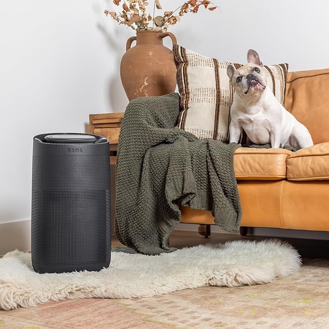 Sans HEPA 13 Air Purifier - Black - 1560ft² Ultra-Quiet Home Air Purifier, Pre-Filter, Activated Carbon, UV-C Light, Protect from Odors, Smoke, Pollutants, Allergens, Dust, Dander, Harmful Chemicals