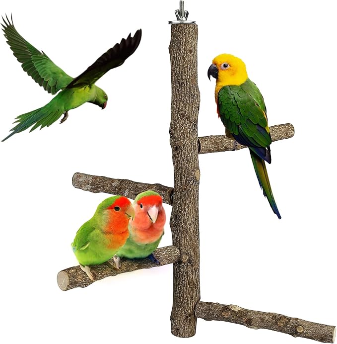 Bird Perch Stand Toy, Natural Wood Parrot Perch Bird Cage Branch Perch Accessories for Parakeets Cockatiels Conures Macaws Finches Love Birds(L: 13.8" Length)