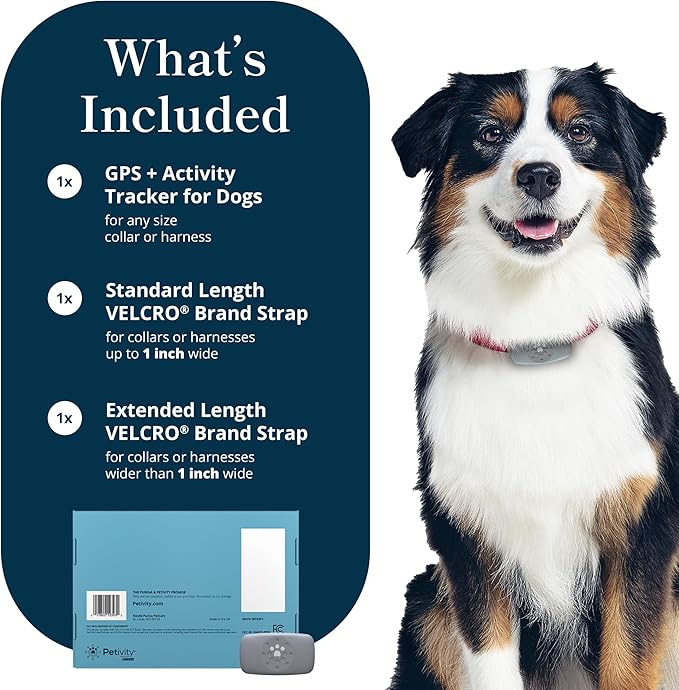 Petivity Smart GPS and Activity Pet Tracker for Dogs Powered by Purina, Waterproof Real Time Tracking GPS Dog Collar, Downloadable App, Subscription Required