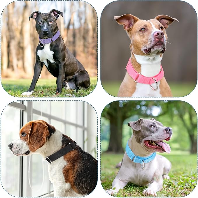 Cunno 12 Pcs Martingale Collar for Medium Dogs Reflective Dog Collar with Durable Metal Buckle Adjustable Nylon Pet Prevent Slipping Out for Pupplies, 12 Colors(Large)