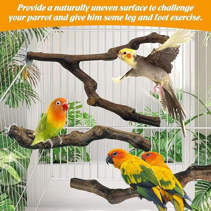 kathson 3pcs Natural Parrot Perch for Cage Wooden Bird Perches Grape Bird Stick Parakeet Climbing Standing Branches Toy Chewable Cage Accessories for Small Budgies Cockatiels Lovebirds Budgies