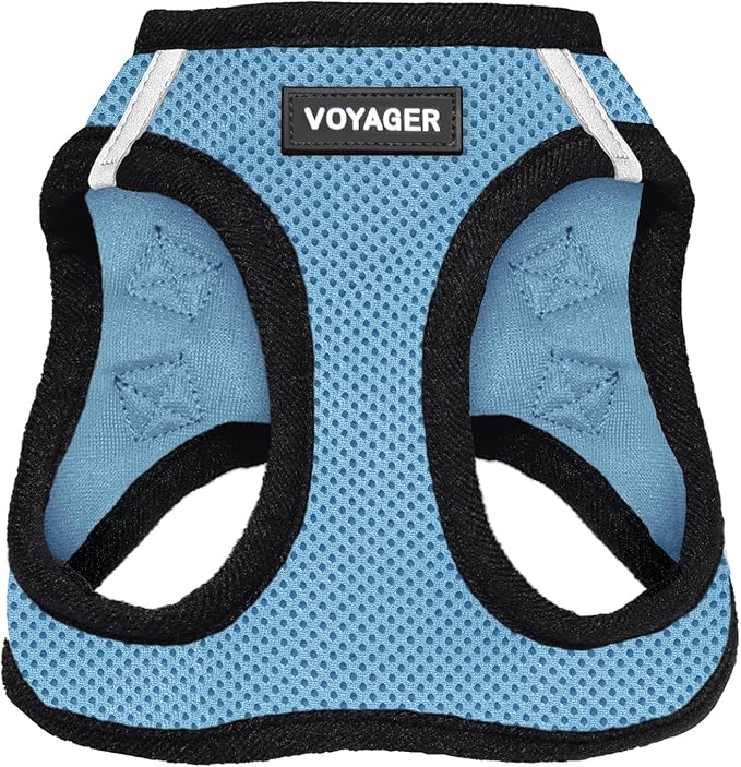 Best Pet Supplies Voyager Step-in Air Harness - All Weather Mesh, Reflective, No Pull Harness for Dogs, Cats - Secure with Hook & Loop Fastener, Buckle, Double D-Rings - Baby Blue/Black Trim, L