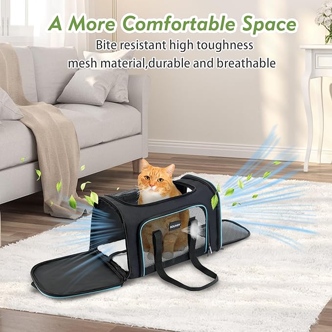 Soundy Large Cat Carrier Dog Carrier Under 25 Lbs,Collapsible Ventilated Portable Pet Bag with Soft Sided Breathable Mesh for Long Car Trips Maxi Load 2 Kittens or Small, Medium Dog (Large Black)