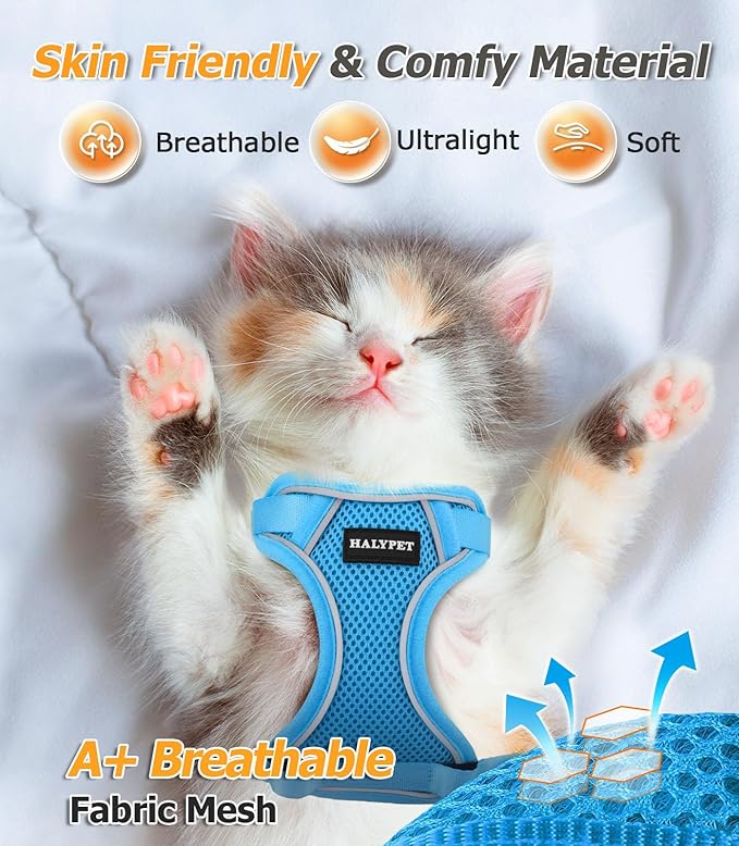 Halypet Cat Harness and Leash Set [MAX Safety 4th-Gen Upgrade] Escape Proof Adjustable Cat Leash Comfortable Soft Vest Easy to Wear Kitten Harness with Reflective Strip for Cats Walking, XS SkyBlue