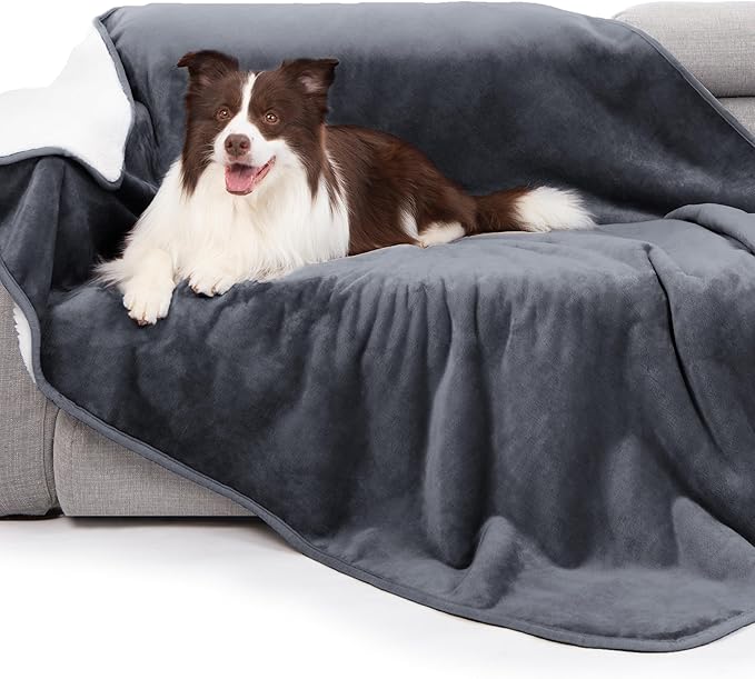gogobunny Waterproof Bed Blanket, Reversible Sherpa Fleece Throw Blanket for Dog Puppy Cat, Furniture Cover Protects Bed Couch Sofa from Liquid Pee and Pet Fur (Dark Grey, 60x80 inches)