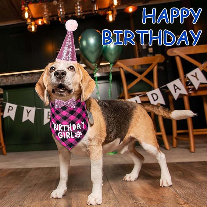 Dog Birthday Party Supplies, Dog Birthday Decorations with Birthday Girl Dog Bandanas/Dog Cat Birthday Hat/Dog Bow Tie/Collar with 0-8 Numbers, for Medium Small Dogs Pets (X-Large, Pink)