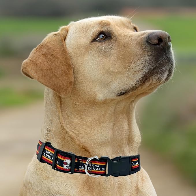 New & Improved Pets First NFL Licensed PET Collar- Heavy-Duty, Strong, and Durable New Dog Collar. Available in 32 Football Teams and 4 Sizes