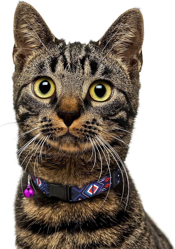 Cat Collar Breakaway 2PCS Adjustable Pattern Tribal Aztec Southwest Safety Pet Collars for Cats Kitten (Aztec + Tribal)