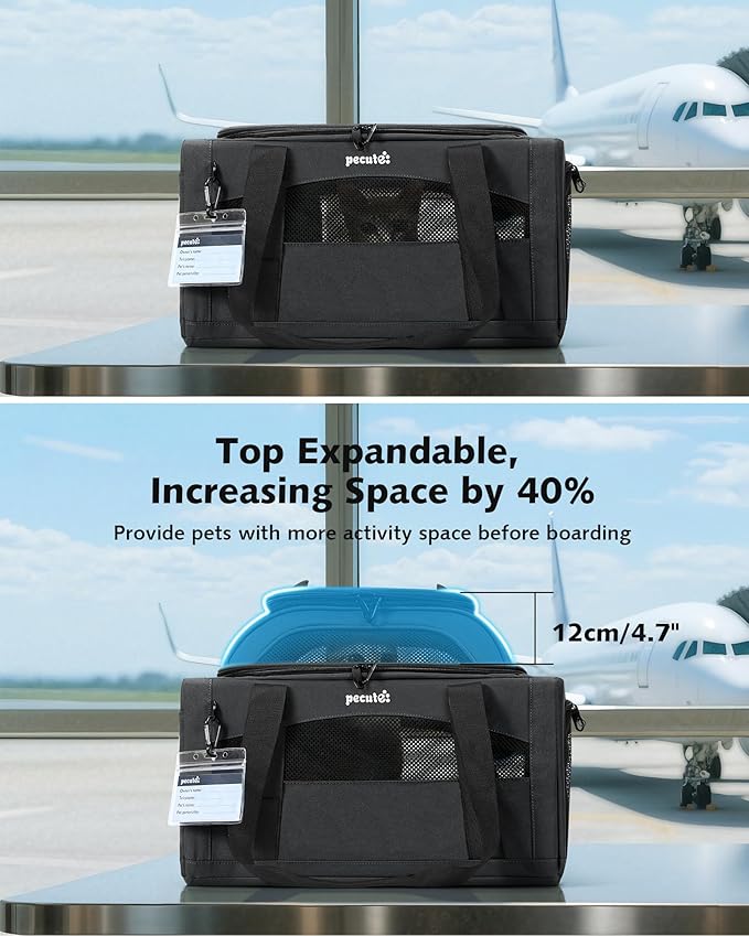 Pecute Expandable Pet Carrier Airline Approved Dog Cat Carrier, Breathable Soft-Sided with Locking Zippers, Pet Travel Bag for Small Dog Cat Anti-Scratch Mesh Leakproof Pee Pad (Dark Gray)